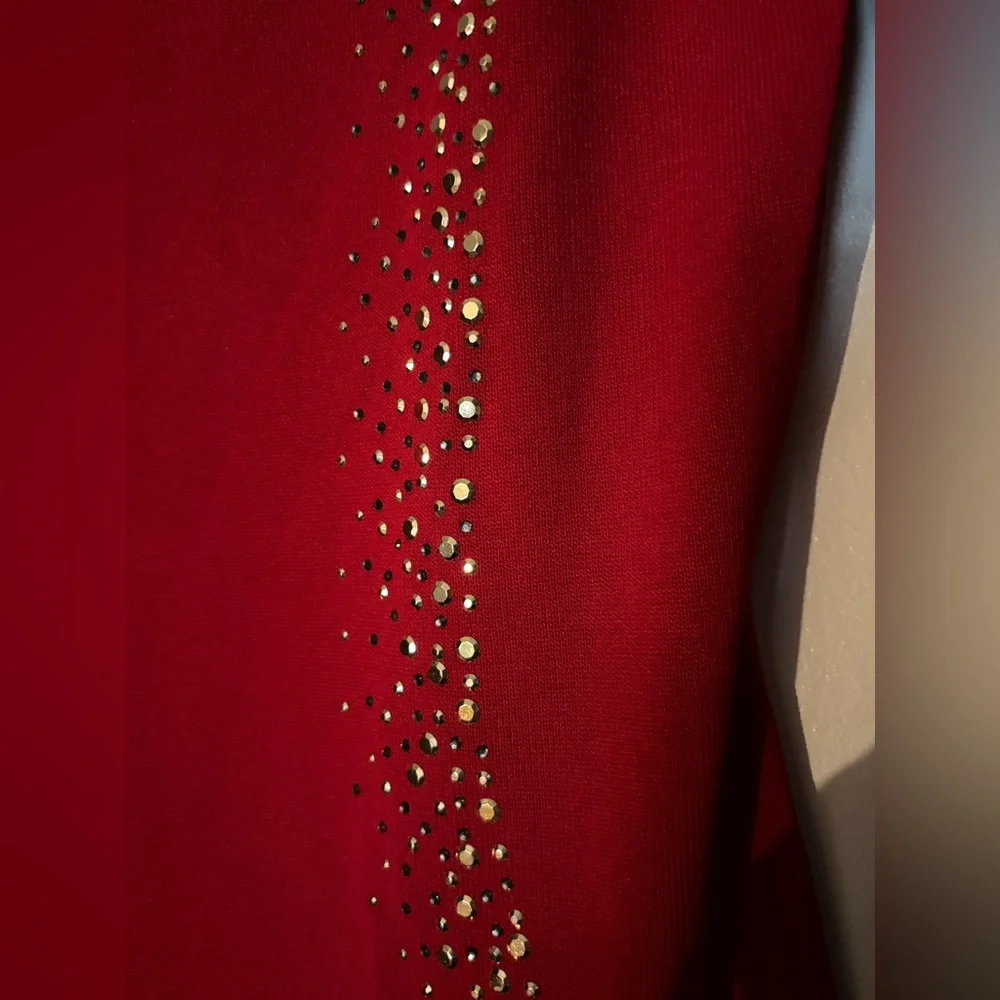 Calvin Klein Scarlet Dress with Metallic Details - Picture 8 of 10